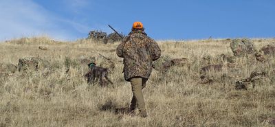 Σύλληψη στην Κω για θήρα εκτός κυνηγετικής περιόδου