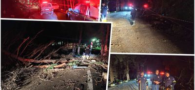 Πτώση δέντρου στη Ζιά - Επέμβαση της Πυροσβεστικής και της Πολιτικής Προστασίας Κω