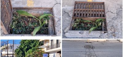 Διαμαρτυρίες κατοίκων στο Πλατάνι για φρεάτιο γεμάτο χόρτα και "φυτά" που πλημμυρίζει