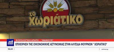 Χωριάτικο: Συνελήφθη ο ιδιοκτήτης αλυσίδας φούρνων για απάτη που αγγίζει τα 100 εκατ. ευρώ