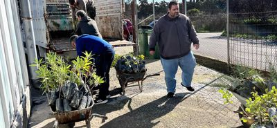 Πάνω από 2.000 φυτά σε δήμους, σχολεία και κοινότητες των νησιών από το Περιφερειακό Φυτώριο Νοτίου Αιγαίου