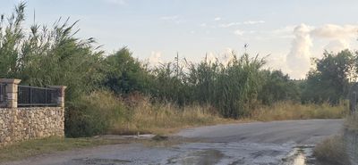 Αναγνώστης: Λύματα σε δρόμο στο Πυλί