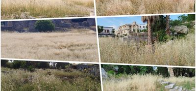 Εικόνα εγκατάλειψης στους αρχαιολογικούς χώρους της Κω - Φοβούνται να πλησιάσουν οι τουρίστες αφου τα χόρτα ξεπερνούν το 1,5 μέτρο 