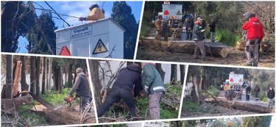 Κοπή “επικίνδυνων” δέντρων στην Κω – Αιχμές από τον κ. Σοφοκλή Δουδούς: Δυστυχώς στο Δήμο κάνουν κουμάντο κάποιοι που δεν έχουν αρμοδιότητα…