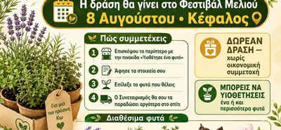 Μελισσοκομικός Συνεταιρισμός Κω Κεφάλου: Υιοθέτησε ένα Φυτό – Μαζί κάνουμε την Κω πιο πράσινη!