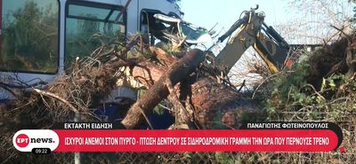 Πύργος Ηλείας: Δέντρο έπεσε σε τρένο προς Κατάκολο - Tραυματίστηκε ο μηχανοδηγός