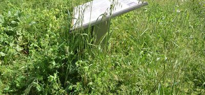 173.000 ευρώ για εργασίες καθαρισμού και αποψίλωσης αρχαιολογικών χώρων σε Ρόδο, Κω, Κάλυμνο και Σύμη