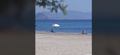 Μαγευτικό θέαμα σε παραλία της Κω – 4 δελφίνια χάρισαν μοναδικές στιγμές στους λουόμενους 