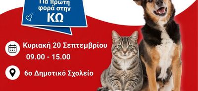 Σεμινάριο Πρώτων Βοηθειών για Ζώα συντροφιάς στην Κω!