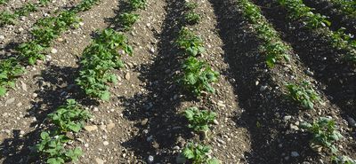 Εσπερίδα για το μέλλον της αγροτικής παραγωγής στην Κω