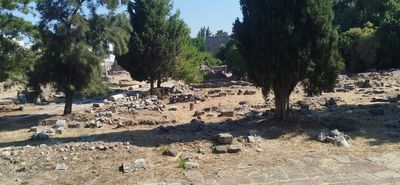 Σ. Χατζηπέτρος: Έρχεται αύριο η Υπ. Πολιτισμού και όλοι τρέχουν τώρα για να της δείξουν μία ωραία Κω