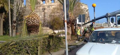 42 εποχικούς εργαζόμενους προσλαμβάνει ο Δήμος Κω 