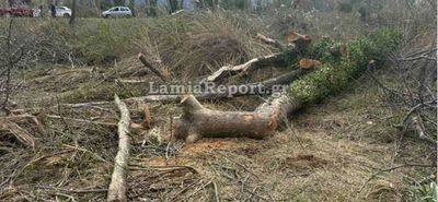 Λαμία: Νεκρός 68χρονος - Tον καταπλάκωσε δέντρο μπροστά στα μάτια της συζύγου του
