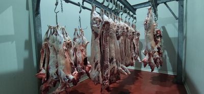 Μειωμένες φέτος οι σφαγές αμνοεριφίων στα Σφαγεία Κω (έφυγαν ζωντανά περίπου 6.000 από το νησί)