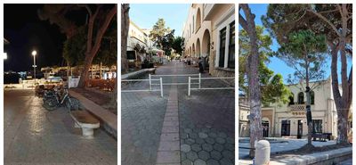 Αναγνώστρια: Δύο πεύκα λιγότερα, η "αναβάθμιση" της πλατείας κάτω από το Δημαρχείο