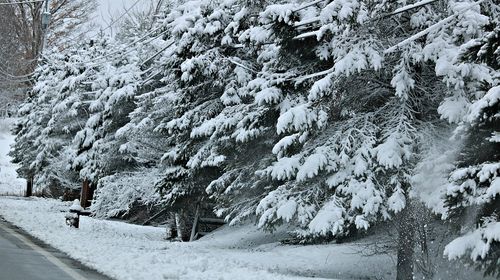 Έρχεται η κακοκαιρία "Μπάρμπαρα" από την Κυριακή - Χιόνια, παγετός και θυελλώδεις άνεμοι