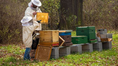 Εκλογές στον Αγροτικό και Μελισσοκομικό Συνεταιρισμό Κω – Πρόεδρος ο Γ. Παριανός