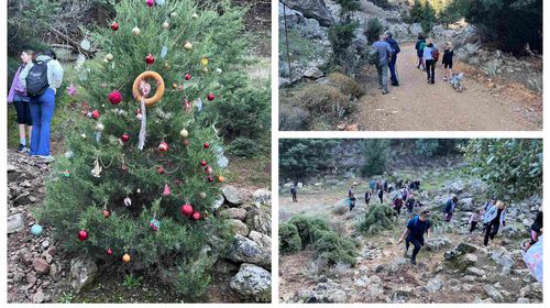 Πεζοπορική Ομάδα Κω: Πεζοπορία και στόλισμα Χριστουγεννιάτικου δέντρου