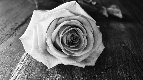 "Έφυγε" από τη ζωή η αγαπητή συμπολίτισσά μας Διονυσία Πλαγγέτη