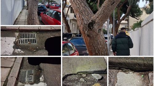 Ανησυχία πολιτών για επικίνδυνη κλίση δέντρου και καθίζηση οδοστρώματος στην οδό Ελ. Βενιζέλου