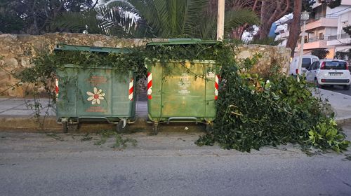 Αναγνώστρια: Κλάδεψε τα δέντρα του και έριξε τα κλαδιά στους κάδους