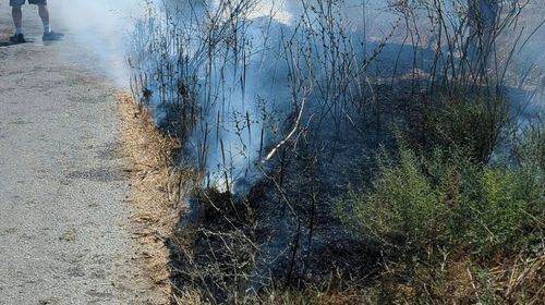 Συμβαίνει τώρα: Φωτιά σε Μαρμάρι και Καρδάμαινα