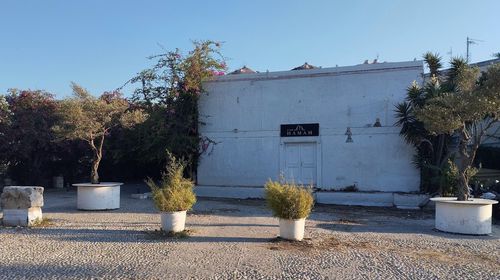 Πλατεία του Αη Γιώργη του Λιμανιού της Κω...