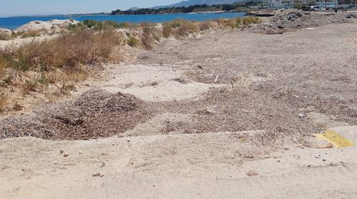 M. Γιωργαλλής: Μαστιχάρι - Εδώ που κάποτε έδεναν βάρκες, τώρα φυτρώνουν χόρτα στο πυθμένα