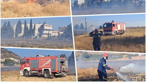 Άμεση επέμβαση σε φωτιά στην Καρδάμαινα κοντά σε ξενοδοχείο 