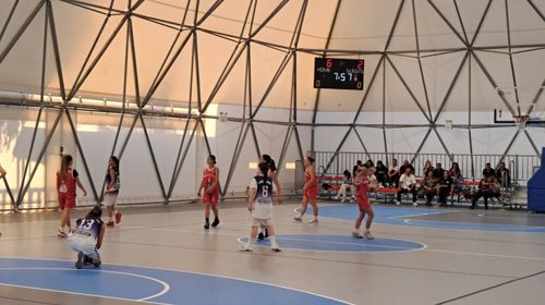 Την Κυριακή 1η Μαρτίου τα εγκαίνια του "θόλου" στην Καρδάμαινα