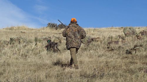 Μειώνονται οι επιτρεπόμενες ημέρες για κυνήγι στη Νίσυρο