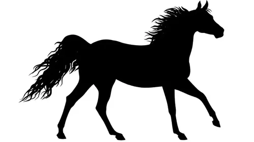 Αναγνώστης: Άλογο στο Μαρμάρι παραμένει εδώ και 3 ημέρες χωρίς νερό