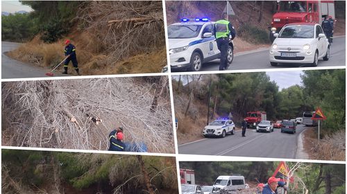Έπεσε δέντρο στον δρόμο στις «Πόρτες» Αντιμάχειας – Από θαύμα δεν σημειώθηκε τραυματισμός