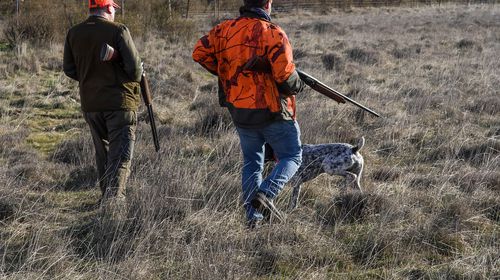Κυνηγετικός Σ/γος Κω για το κυνήγι στη Νίσυρο: Η θήρα ρυθμίζεται από το Υπ. Περιβάλλοντος και όχι από το Δημ. Σ/λιο 