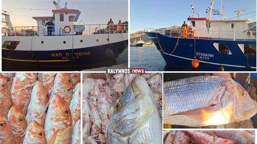 Με καθυστέρηση 10 ημερών σήκωσαν άγκυρες οι “μηχανότρατες” της Καλύμνου – Γέμισαν με φρέσκα ψάρια οι πάγκοι των ιχθυοπωλείων