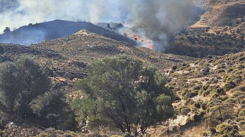 Άμεση κινητοποίηση της Πολιτικής Προστασίας Δήμου Κω για τη φωτιά στην Καρδάμαινα