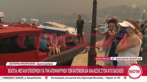 Φωτιά στη Βοιωτία: Επιχείρηση απομάκρυνσης κατοίκων διά θαλάσσης στον Άγιο Βασίλειο