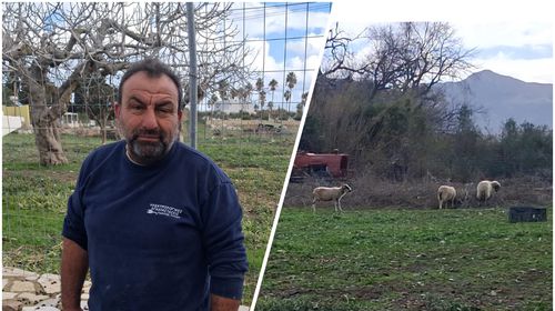 Μ. Μανιάς (Πρόεδρος Κτηνοτρόφων Κω): Δεν πήραμε αυτά που θέλαμε – Δεν καταλαβαίνει η Κυβέρνηση τι περνάμε…