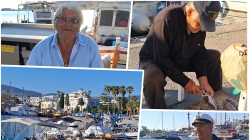 Ιδιαίτερα αισθητές οι συνέπειες του λαγοκέφαλου και στη θαλάσσια περιοχή της Κω: Οδηγούμαστε στην καταστροφή, λένε οι ψαράδες