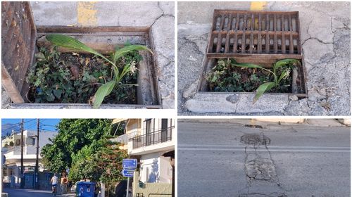 Διαμαρτυρίες κατοίκων στο Πλατάνι για φρεάτιο γεμάτο χόρτα και "φυτά" που πλημμυρίζει