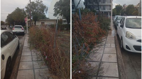 ΤΟ ΠΙΟ ΑΦΙΛΟΞΕΝΟ ΠΕΖΟΔΡΟΜΙΟ ΣΤΗΝ ΠΟΛΗ ΤΗΣ ΚΩ