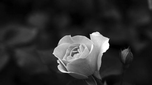 “Έφυγε” από τη ζωή η αγαπητή συμπολίτισσά μας Κατερίνα Καλέργη