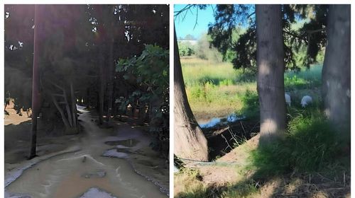 SOS από αναγνώστη: "Υγειονομική βόμβα" με τα λύματα στo Λινοπότη – Κινδυνεύει η υγεία όλων μας!