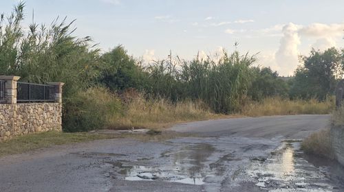 Αναγνώστης: Λύματα σε δρόμο στο Πυλί