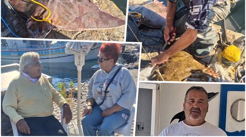Πρωινή ψαριά με σαλάχια από τον κ. Π. Μητσάτσο: «Εξαφανίστηκαν τα ψάρια λόγω λαγοκέφαλου» φωνάζουν οι ψαράδες