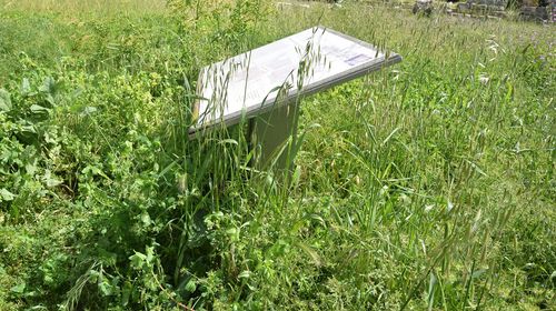 173.000 ευρώ για εργασίες καθαρισμού και αποψίλωσης αρχαιολογικών χώρων σε Ρόδο, Κω, Κάλυμνο και Σύμη