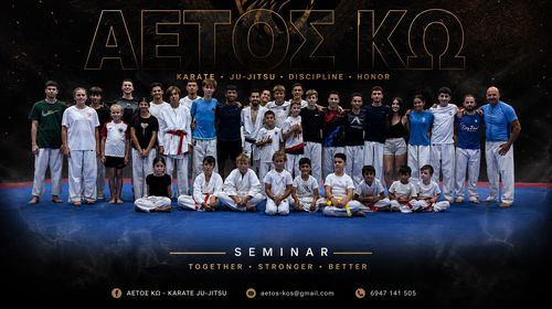 "AETOΣ ΚΩ": Η Κως υποδέχθηκε την κορυφή του παγκόσμιου καράτε!