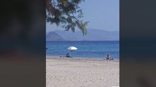 Μαγευτικό θέαμα σε παραλία της Κω – 4 δελφίνια χάρισαν μοναδικές στιγμές στους λουόμενους 