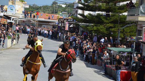 To πρόγραμμα των δοκιμαστικών για την παρέλαση αλόγων στο Πυλί
