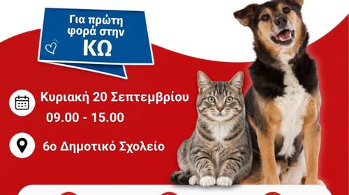 Σεμινάριο Πρώτων Βοηθειών για Ζώα συντροφιάς στην Κω!